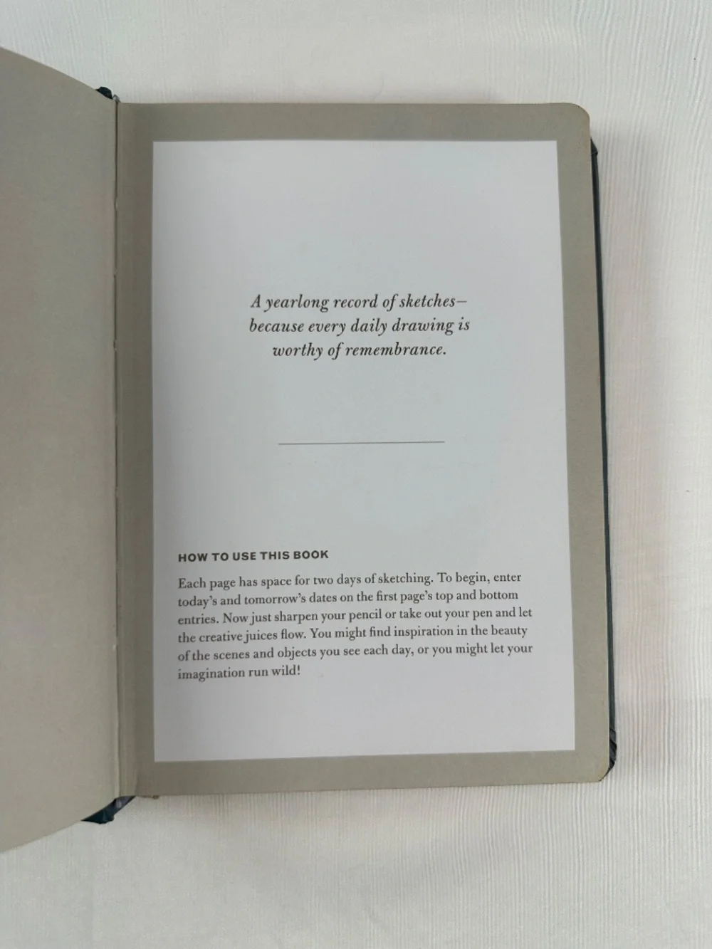 Chronicle Books one sketch